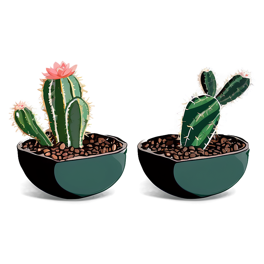 Minimalist Cactus Png Exv