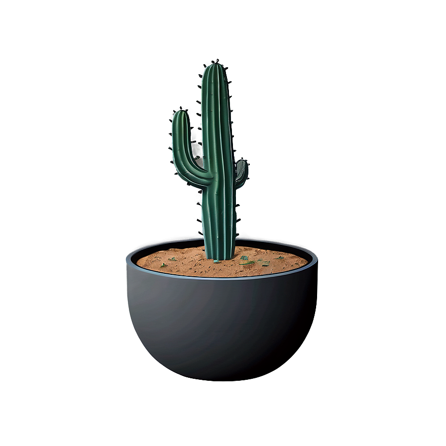 Minimalist Cactus Png Mjm82