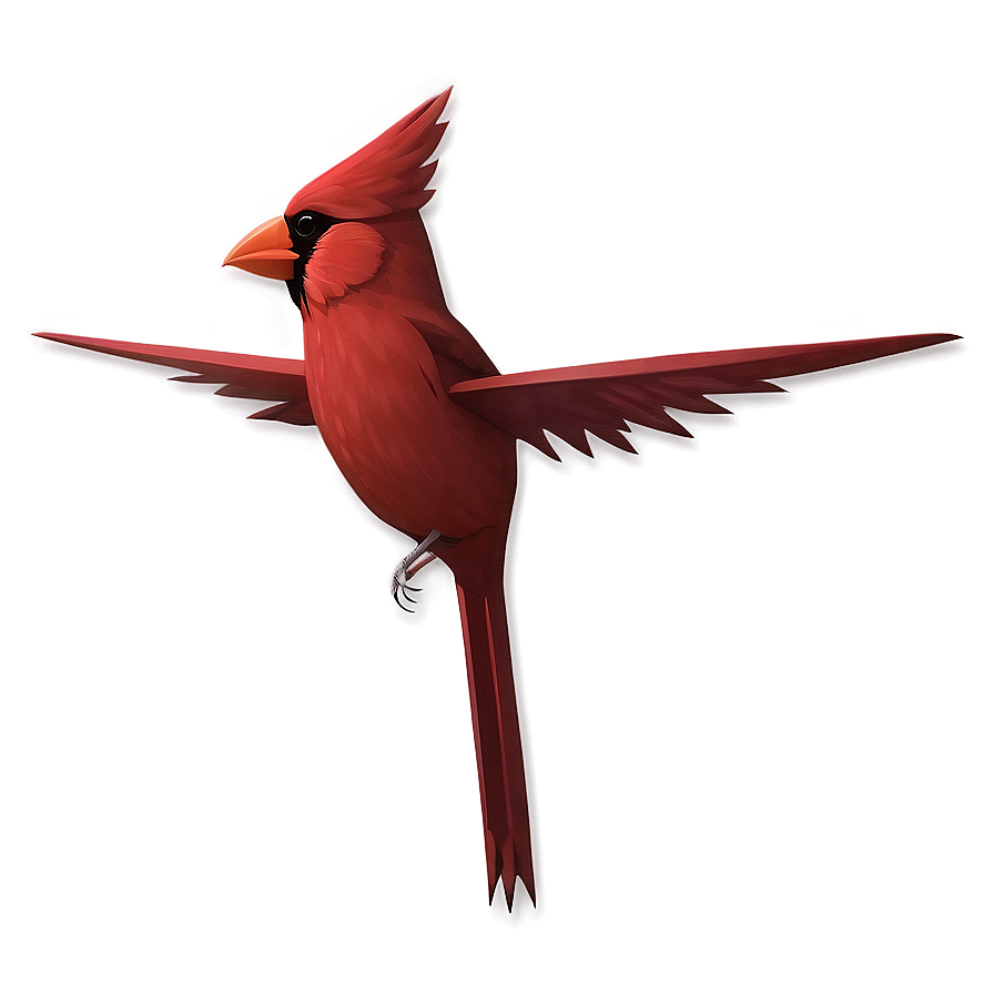 Minimalist Cardinal Design Png 23