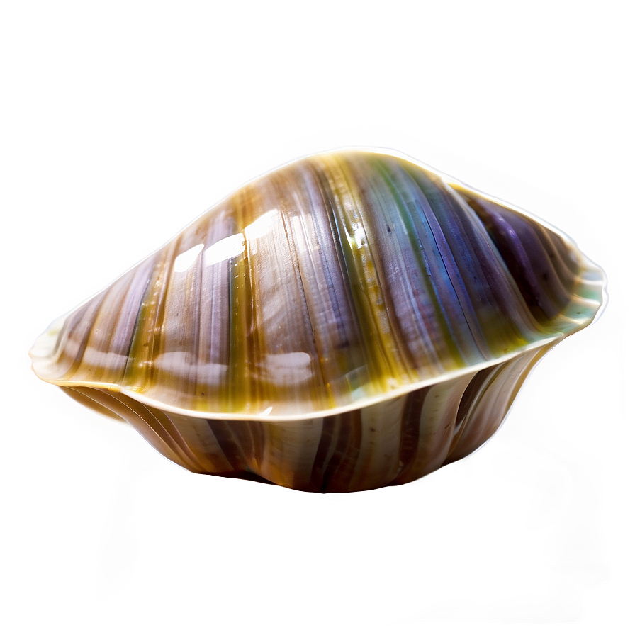 Minimalist Clam Icon Png 05242024