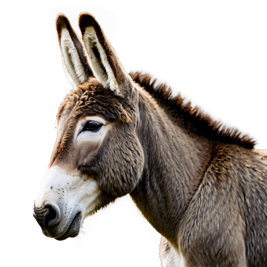 Minimalist Donkey Design Png Uhf