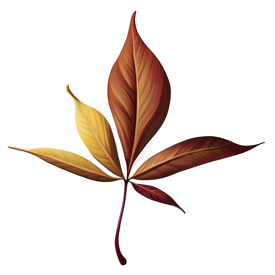 Minimalist Fall Leaf Png Dat6