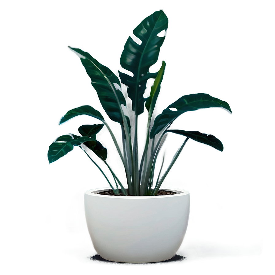 Minimalist Floor Plant Png Gac45