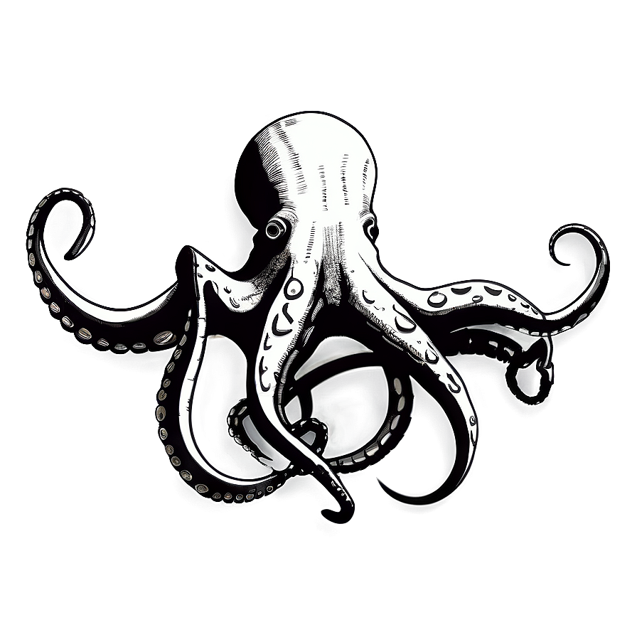 Minimalist Octopus Icon Png Pax43
