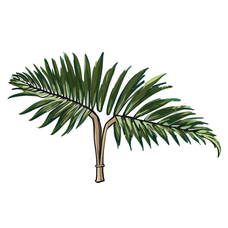 Minimalist Palm Leaves Png Het96