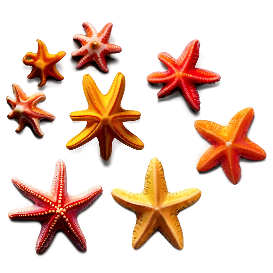 Minimalist Starfish Png Ocl3