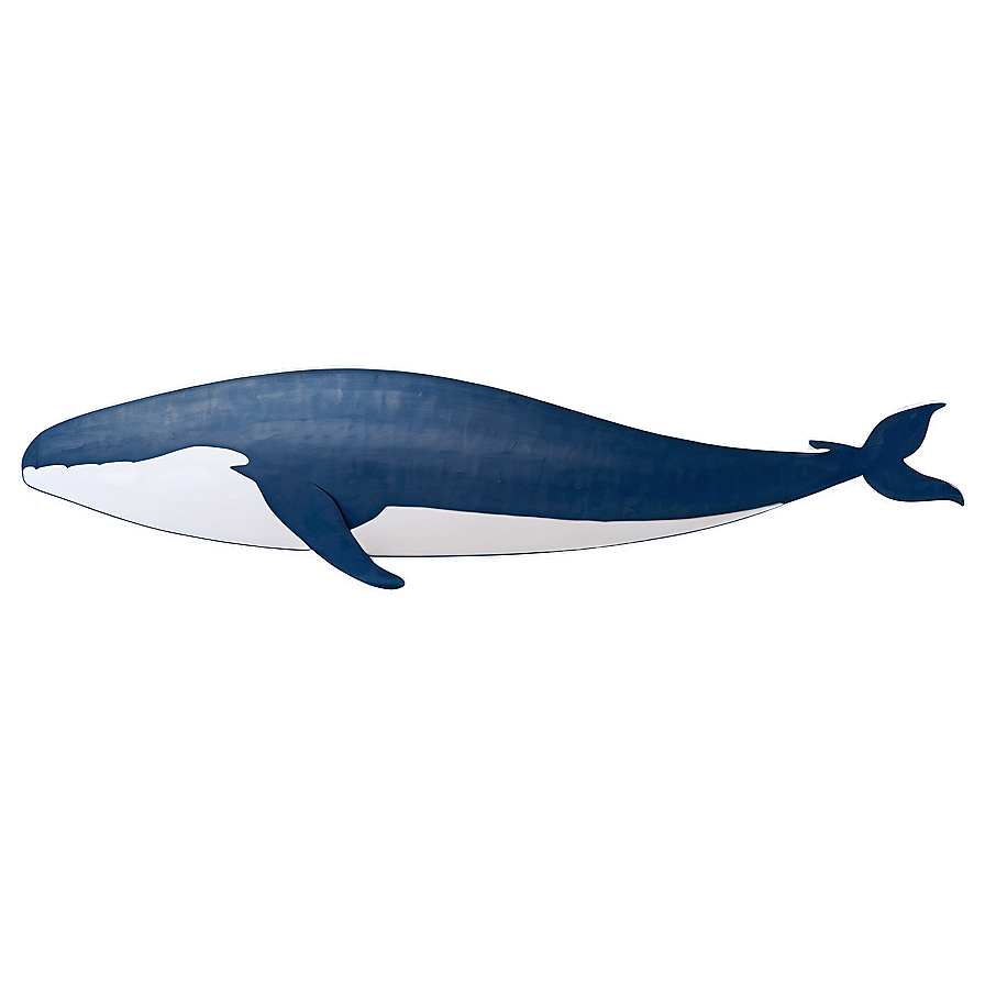 Minimalist Whale Png Bvh