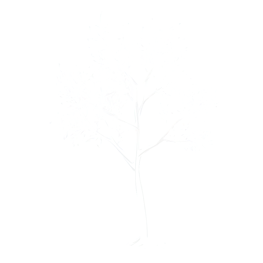 Minimalist White Tree Drawing Png 92