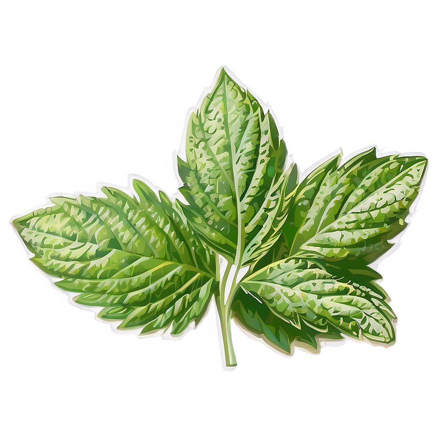 Mint Leaf Symbol Png Skx