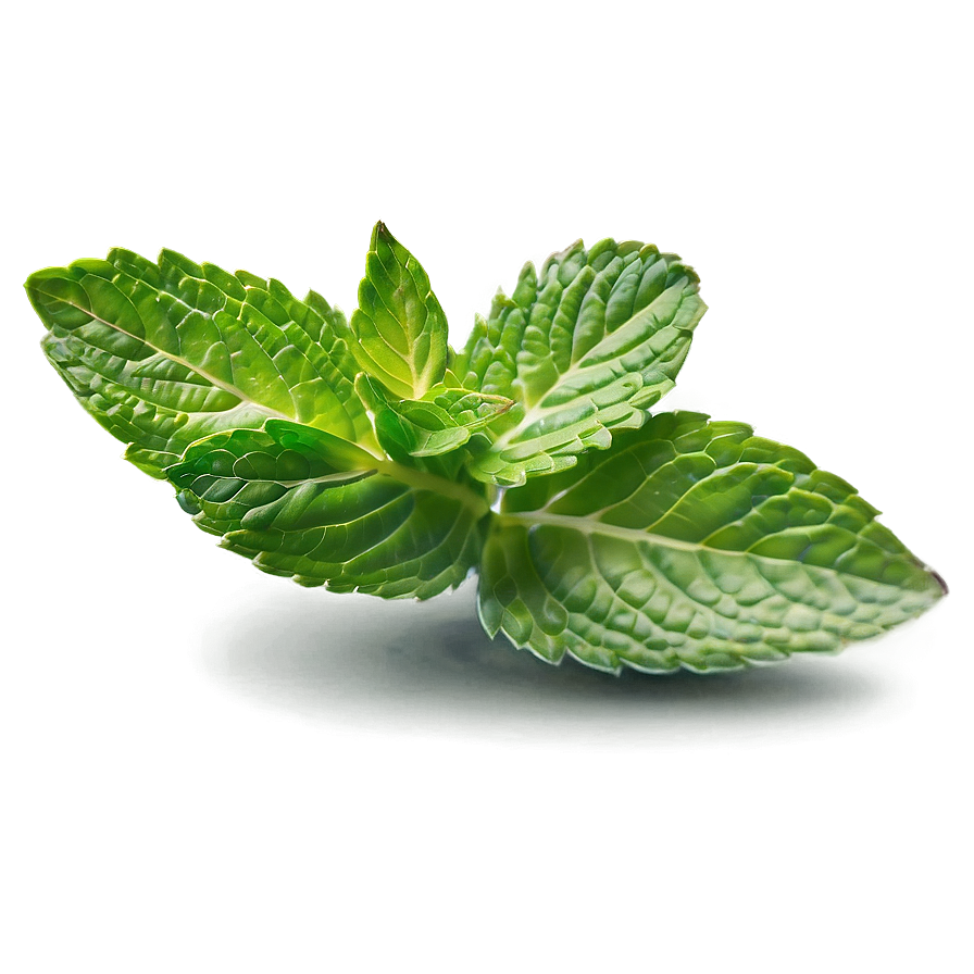 Mint Leaves B