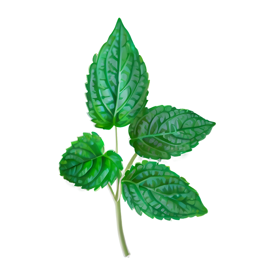 Mint Leaves Clipart Png 06262024