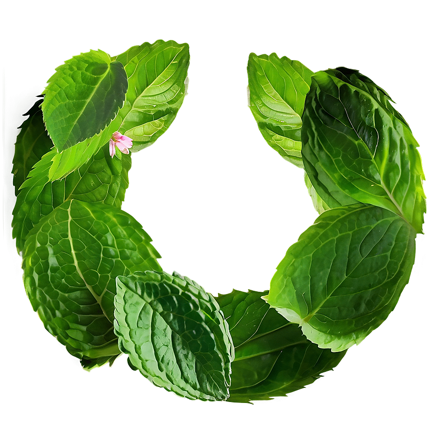 Mint Leaves Decoration Png Eyw