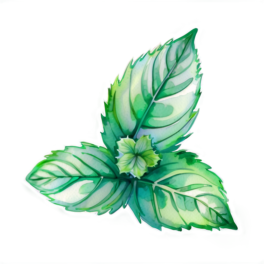 Mint Leaves Watercolor Png Wwc