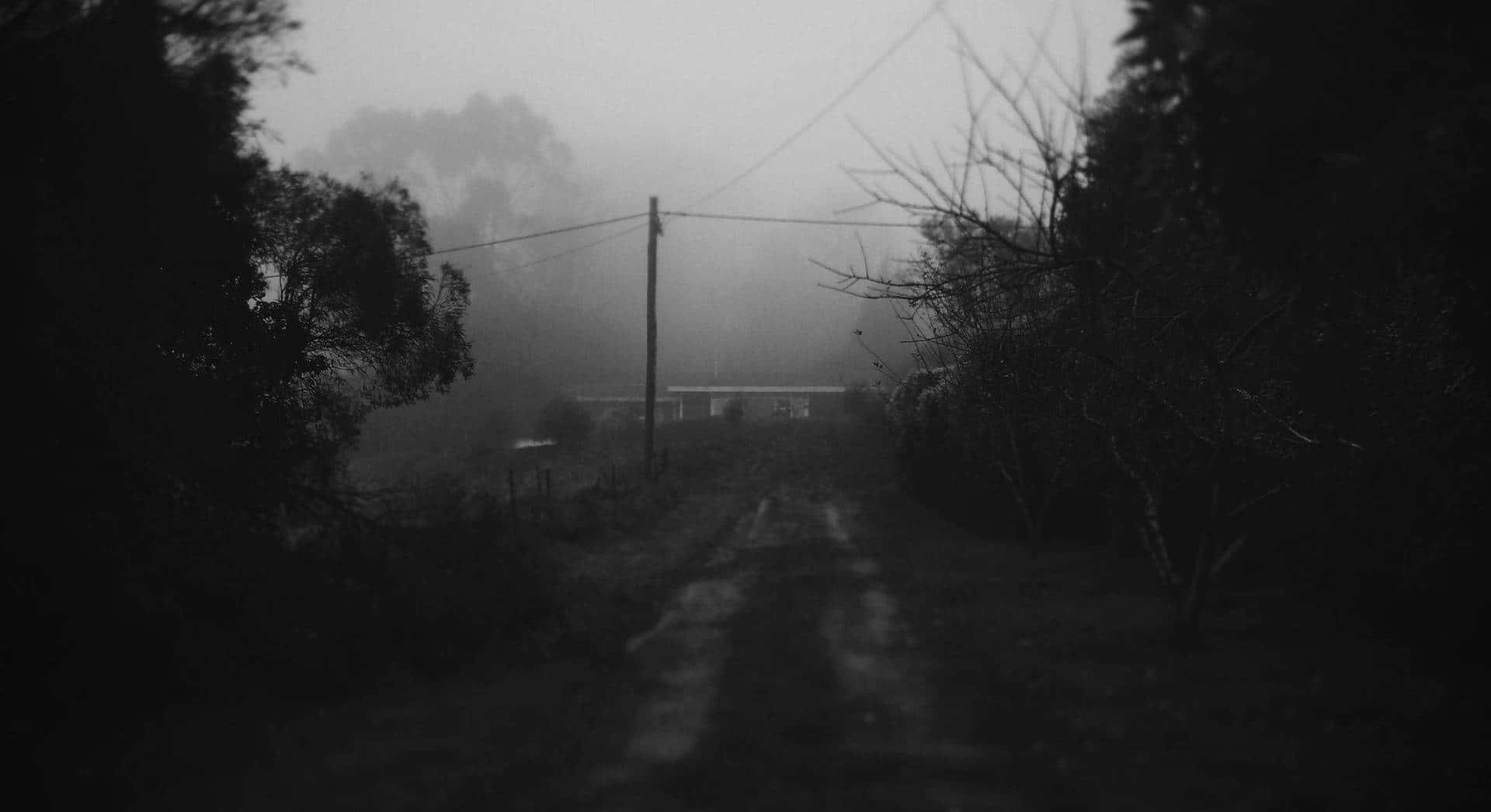 Misty Countryside Road Blackand White