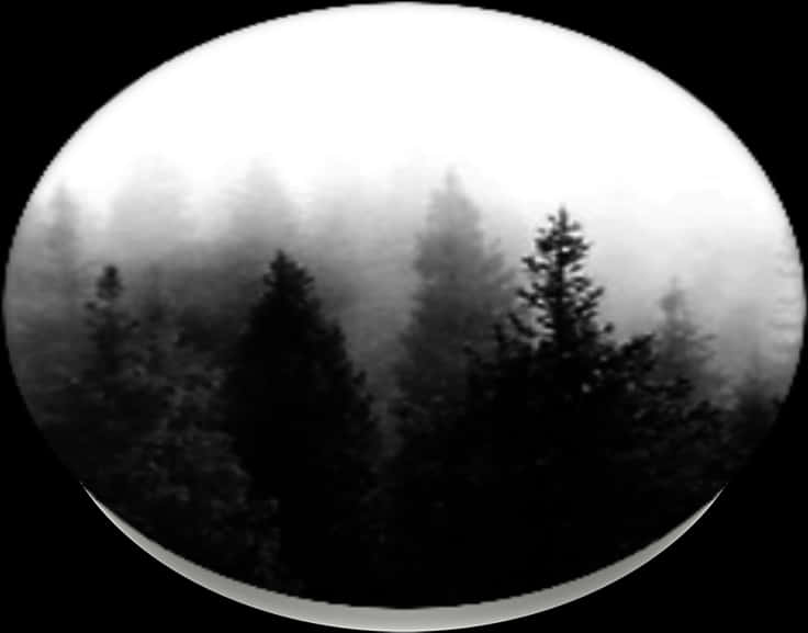 Misty Forest Circle Blackand White