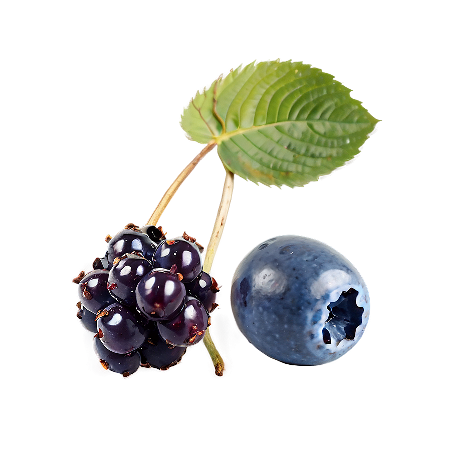 Mixed Berries Collection Png Nrt23