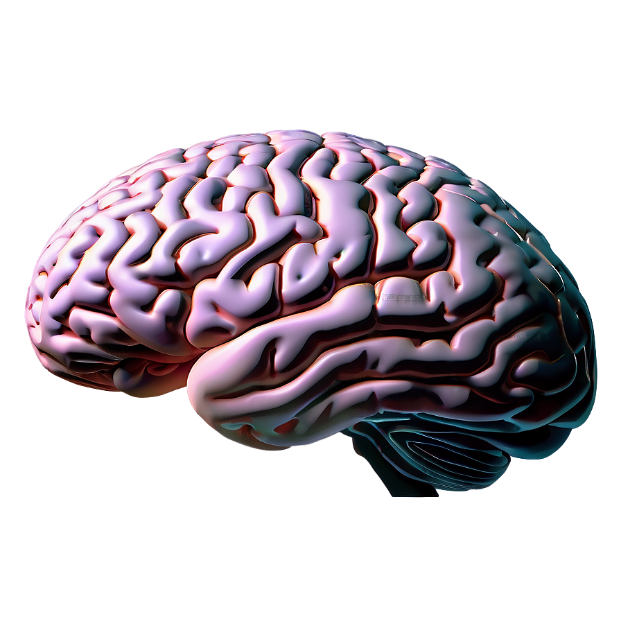 Modern Brain Outline Png 06272024