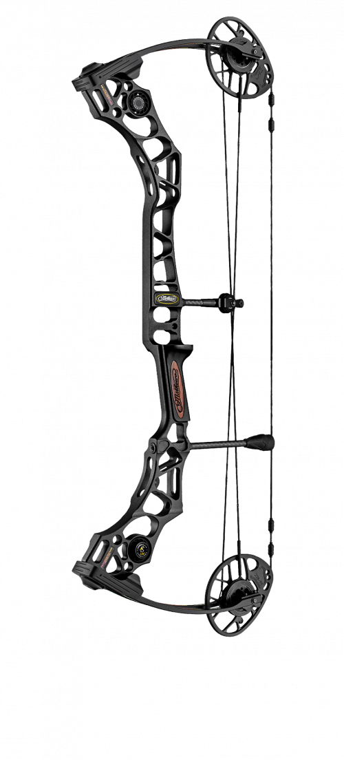 Modern Compound Bow Vertical