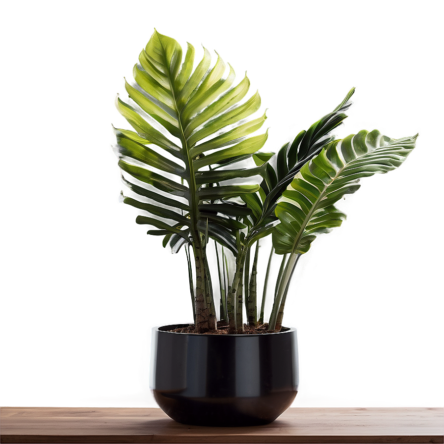 Modern Indoor Plants Png 9