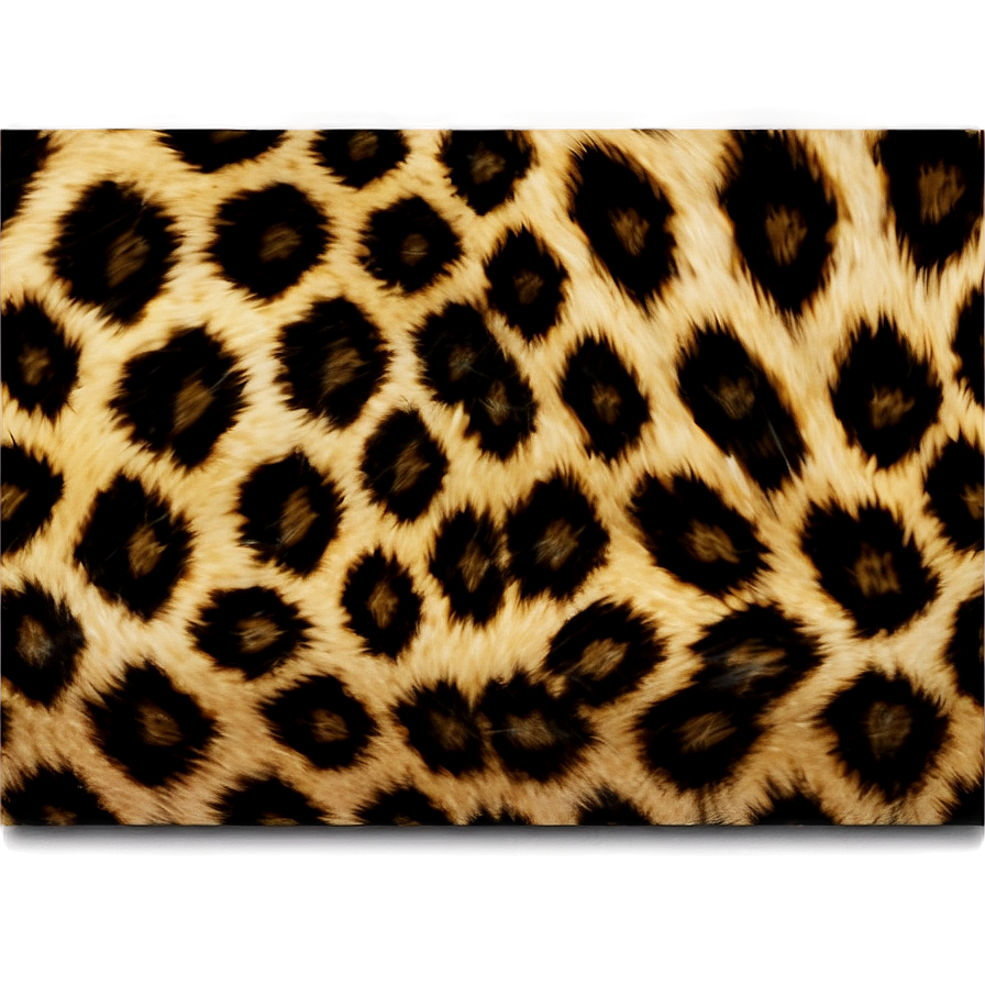 Modern Leopard Print Png 05212024