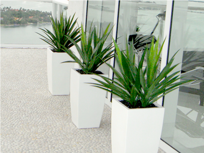 Modern Outdoor Planters Lakeside View