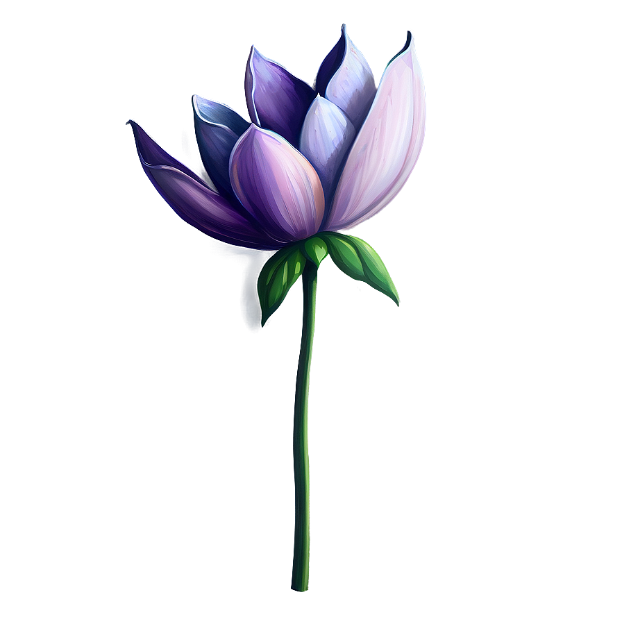 Modest Bloom Illustration Png 73