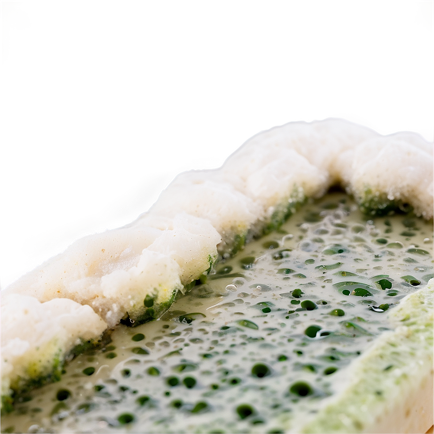 Mold On Food Png Puw53