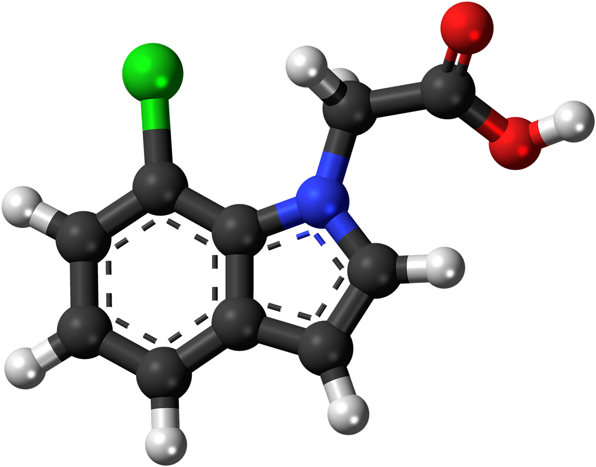 Molecular Structure3 D Model