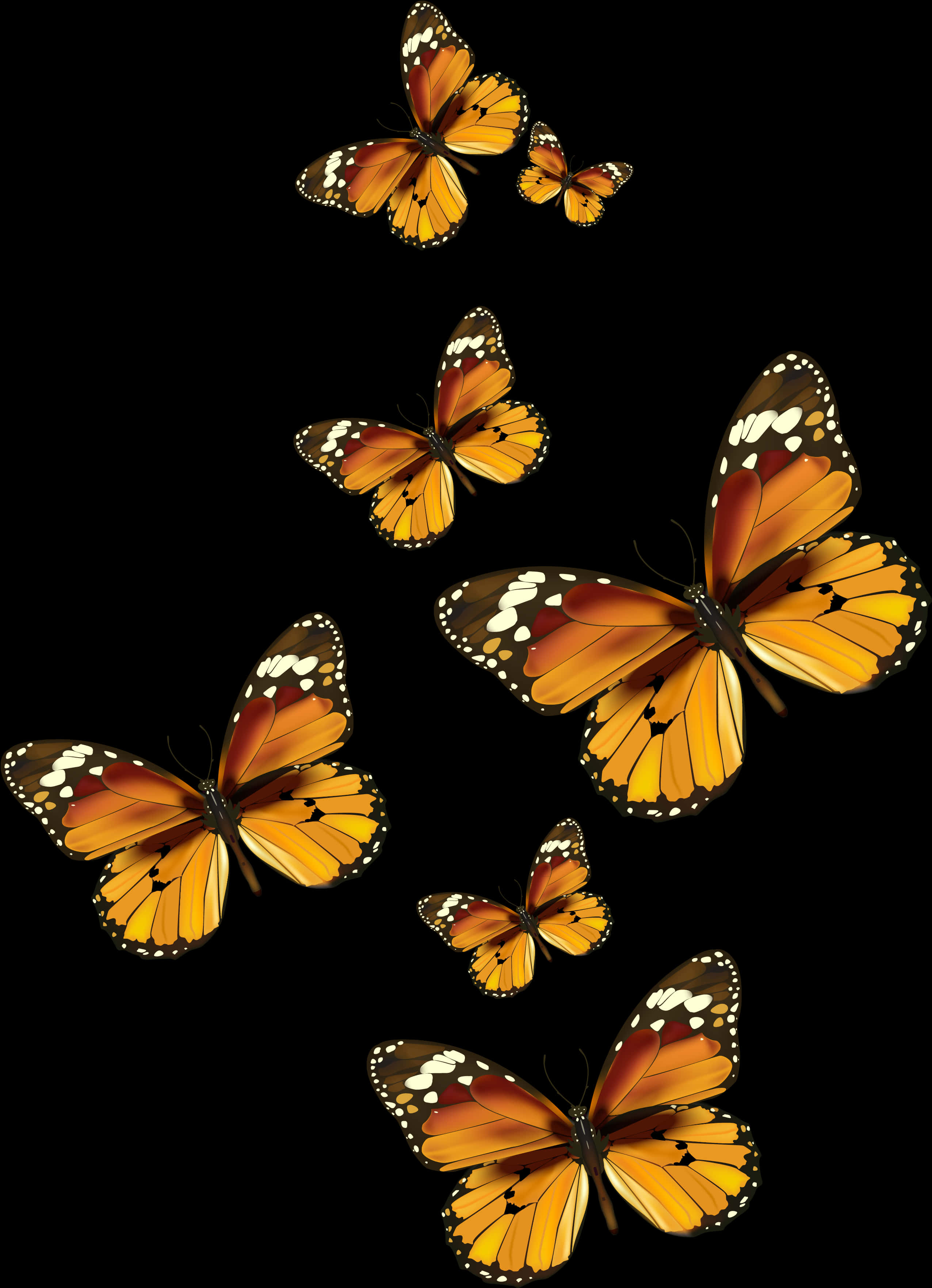 Monarch Butterflies Black Background