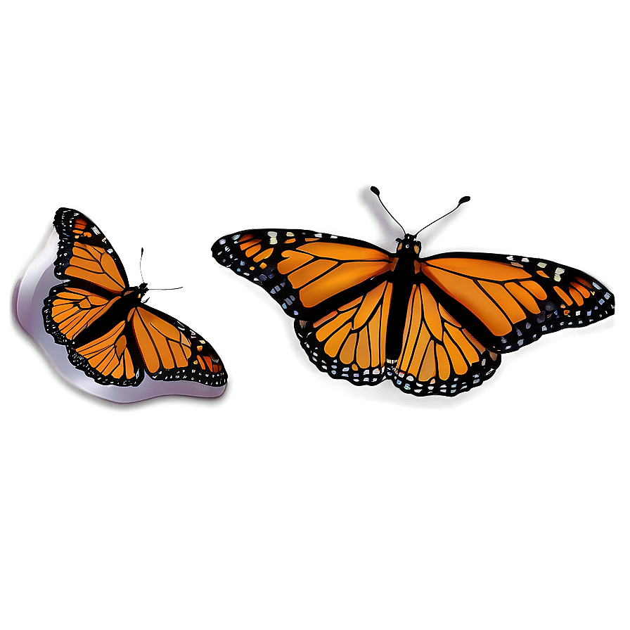 Monarch Butterflies In Nature Png 06252024