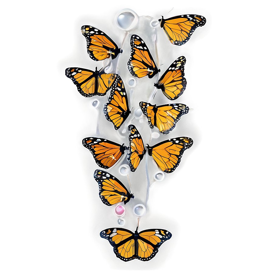 Monarch Butterflies With Dew Png 06252024