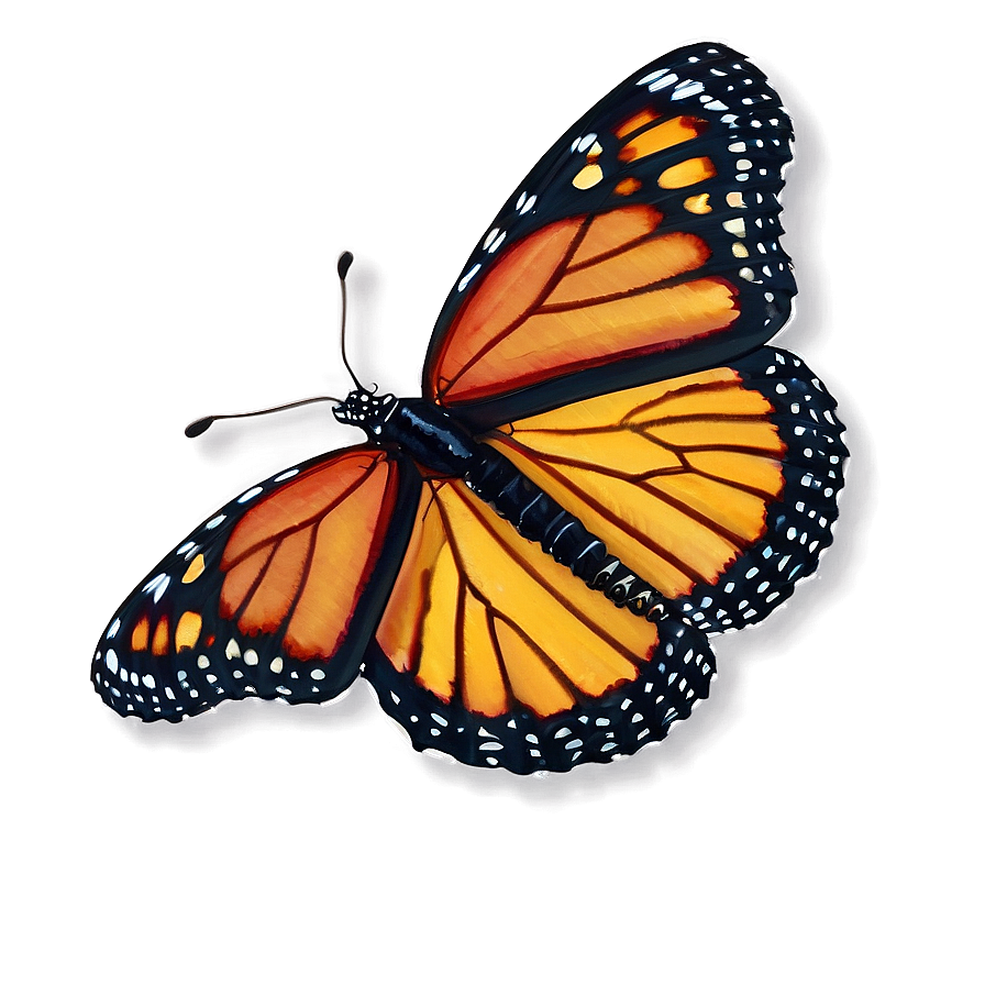 Monarch Butterfly Close-up Png 31