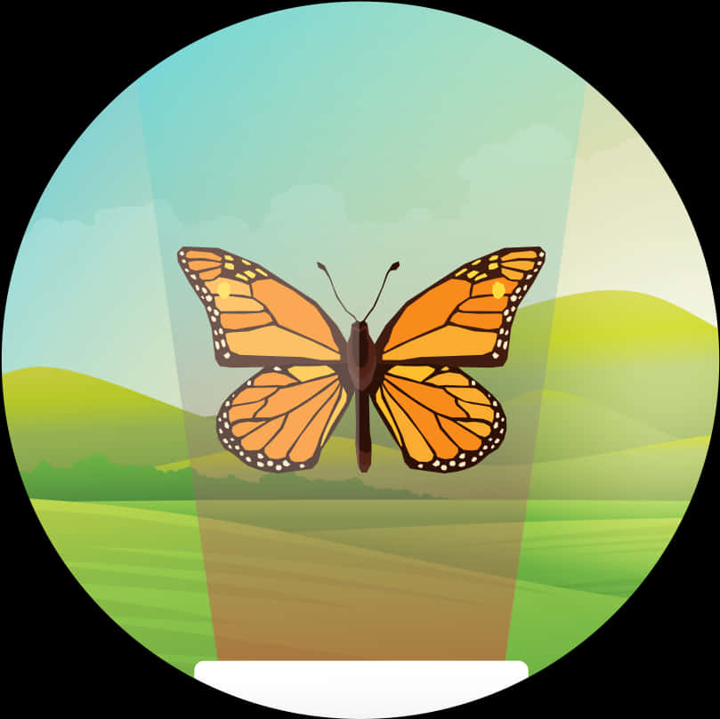 Monarch Butterfly Illustration