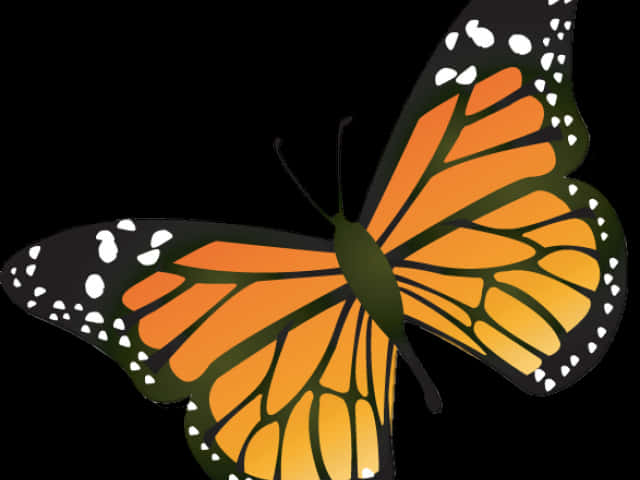 Monarch Butterfly Illustration