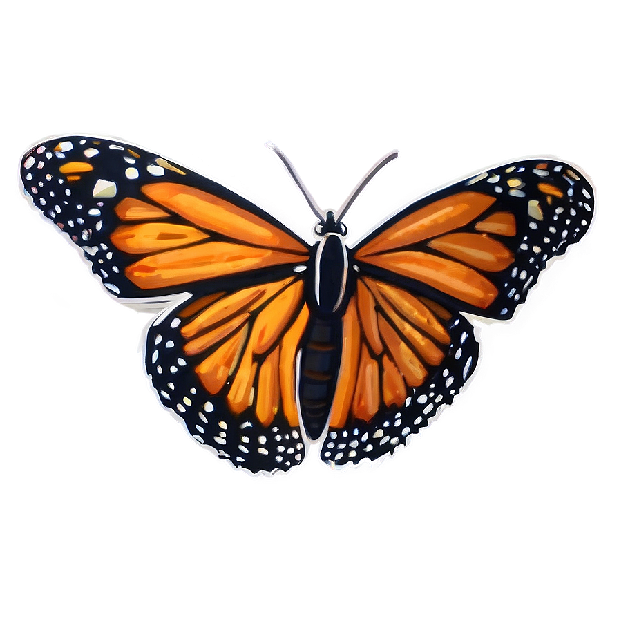 Monarch Butterfly Illustration Png 05252024