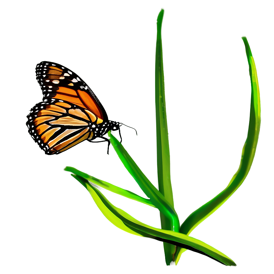 Monarch Butterfly In Flight Png 58