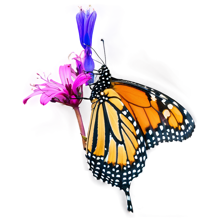 Monarch Butterfly In Flight Png Svl43