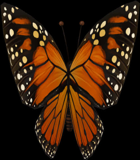 Monarch Butterfly Symmetry