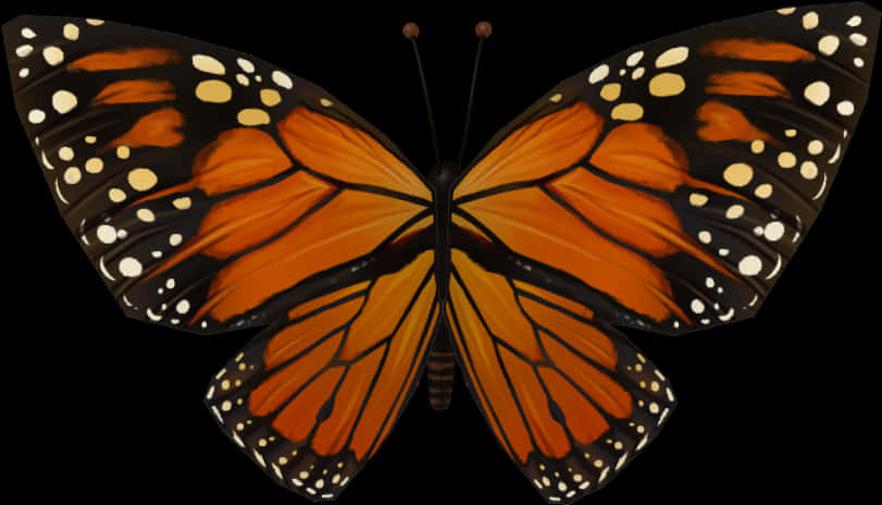 Monarch Butterfly Symmetry