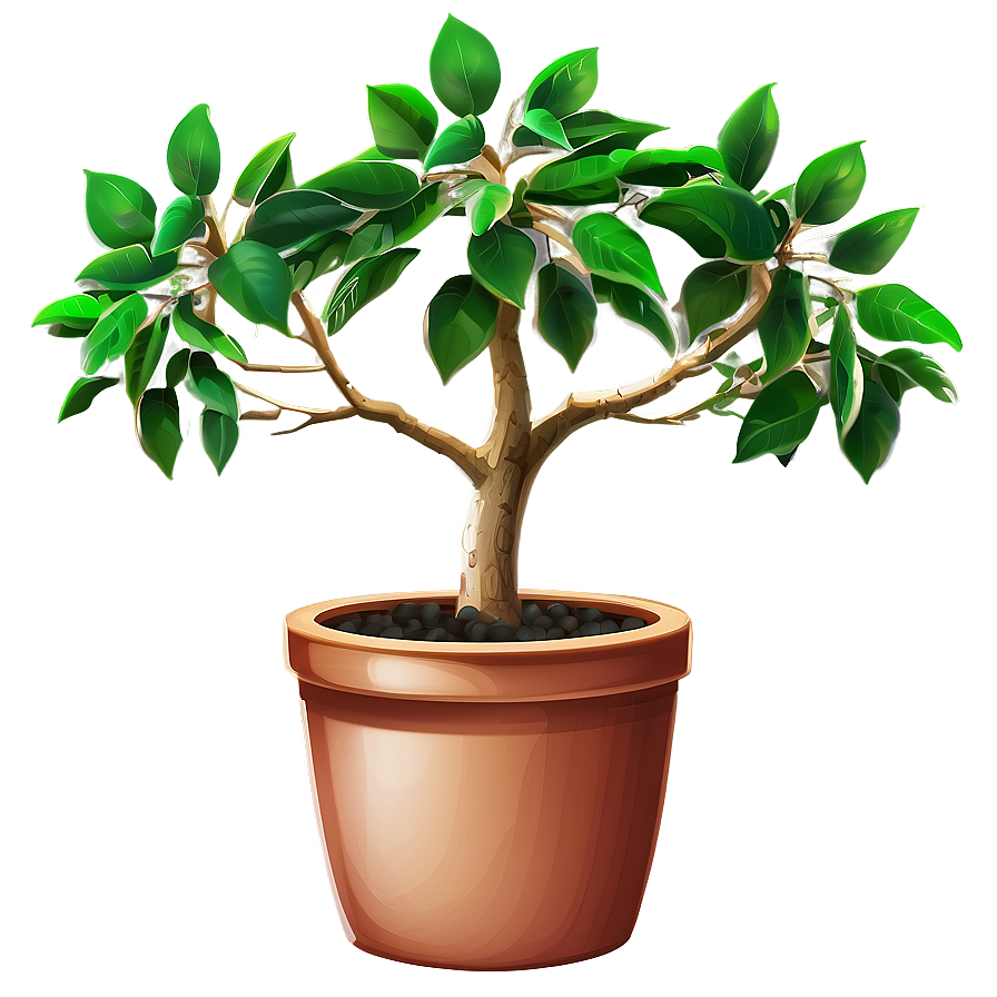 Money Tree In Pot Png Jtq30