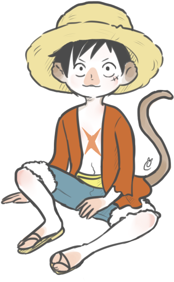 Monkey D Luffy Anime Character Illustration
