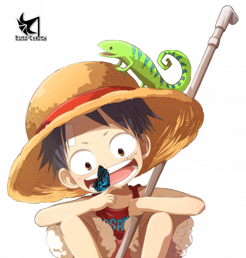 Monkey D Luffy Chameleon Friendship