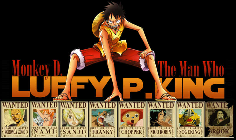 Monkey D Luffy The Pirate King