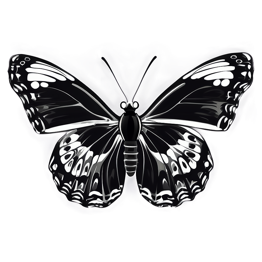 Mono Butterfly Illustration Png Yff