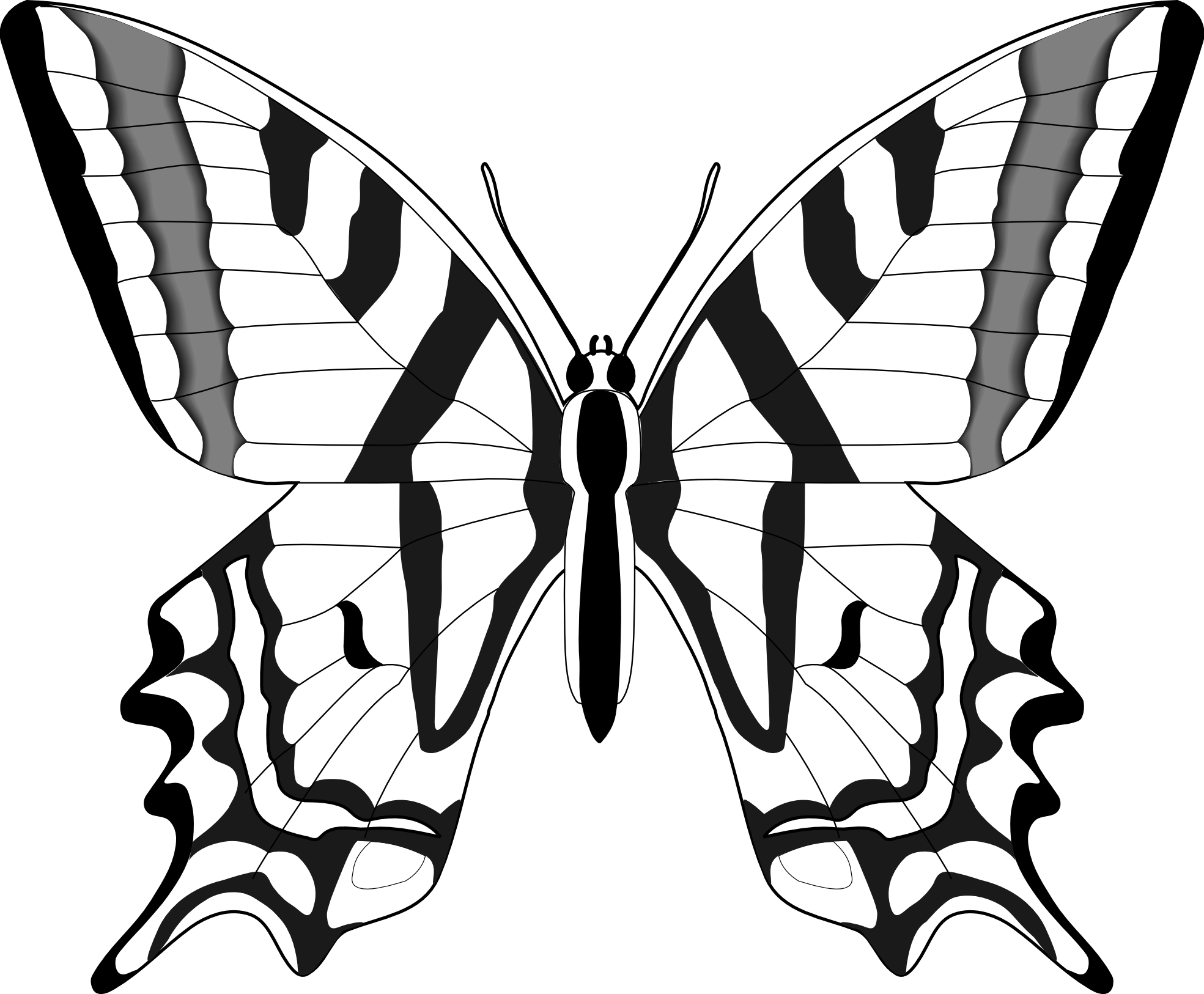 Monochrome Butterfly Illustration