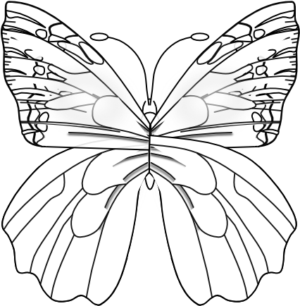 Monochrome Butterfly Illustration.png