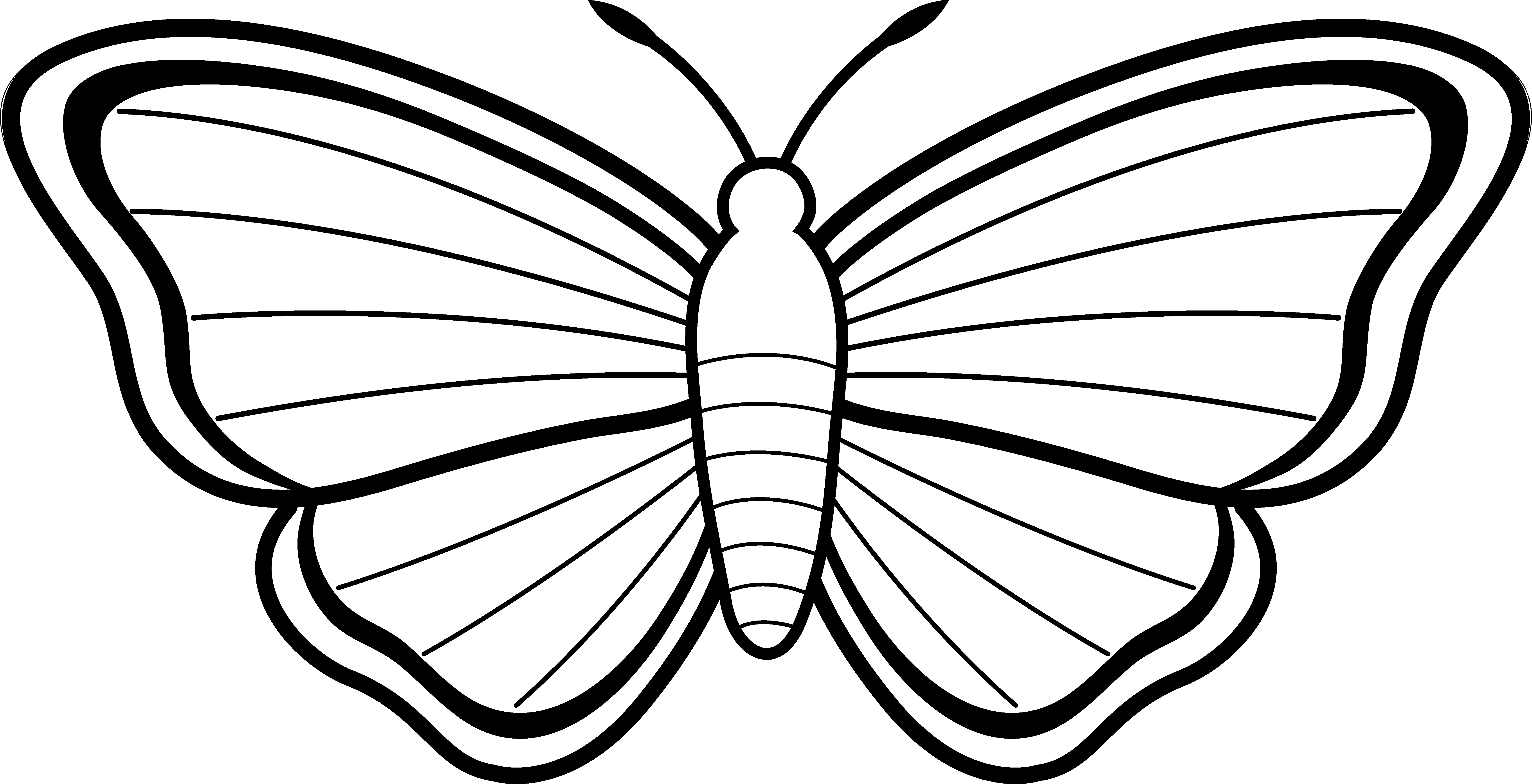 Monochrome Butterfly Illustration