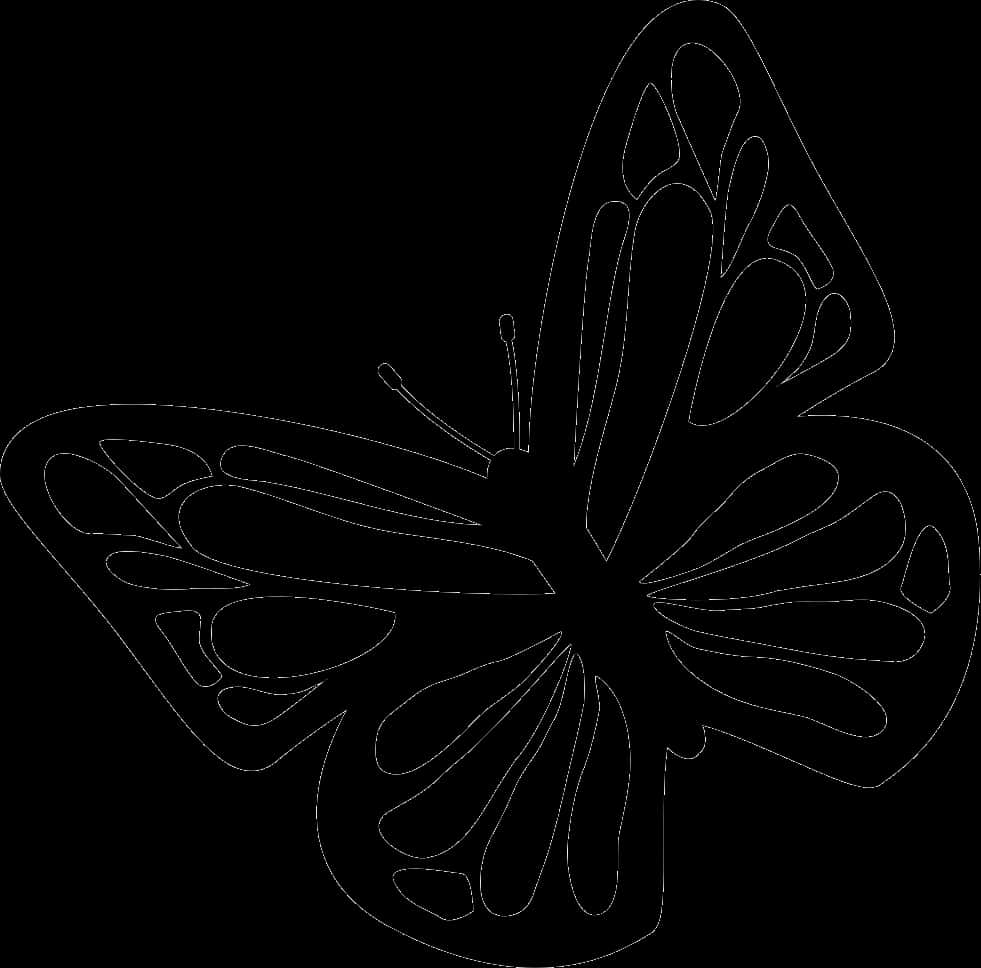 Monochrome Butterfly Silhouette