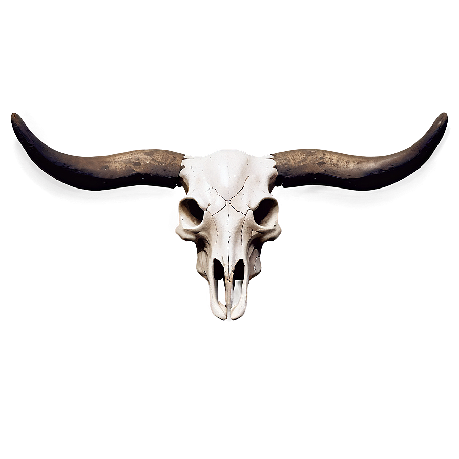 Monochrome Cow Skull Png 06132024