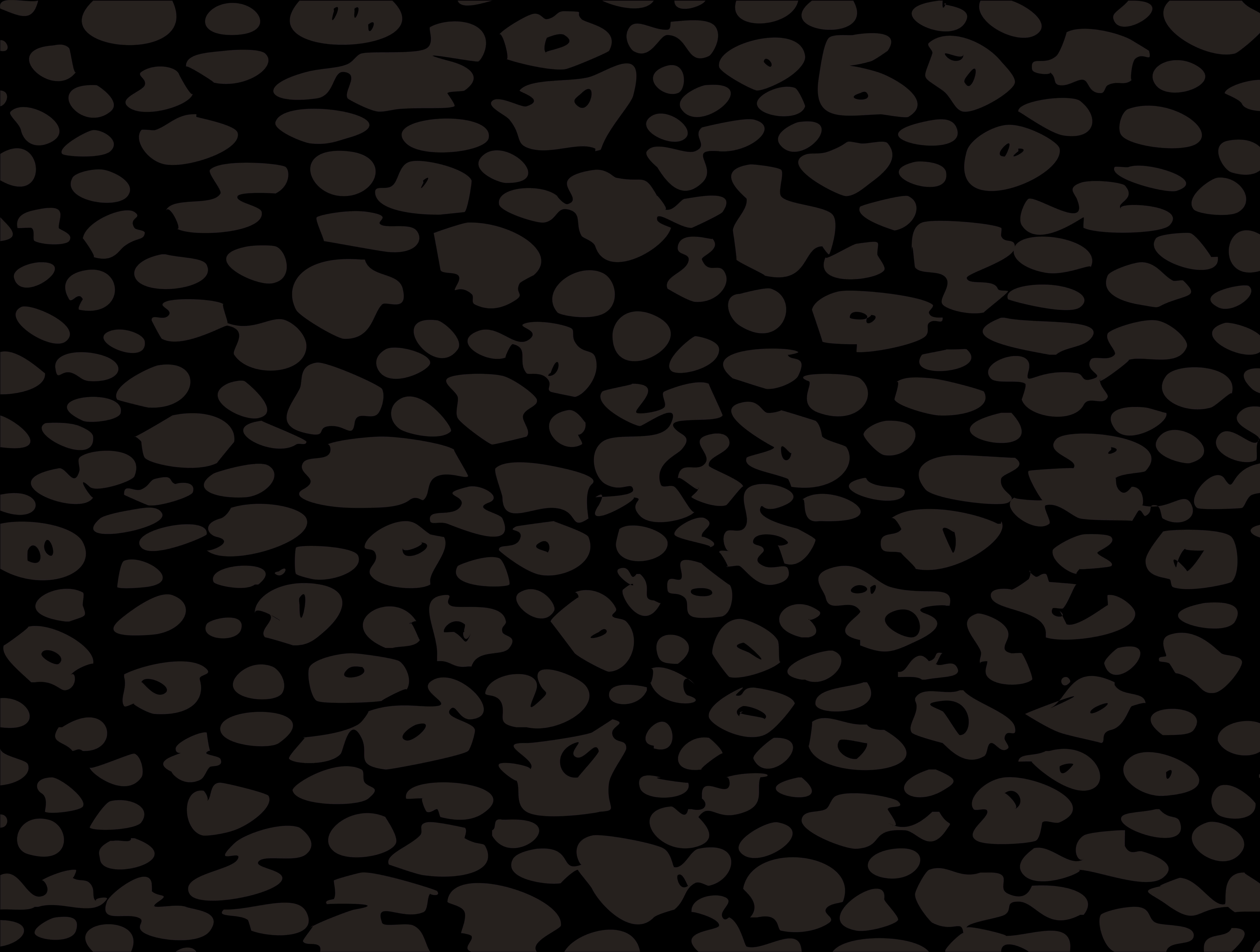 Monochrome Leopard Pattern